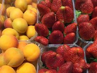 IMG 5099  and fruit!