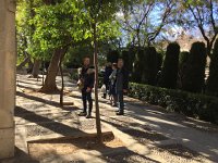 IMG 5114  in the gardens near the garage