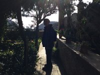 IMG 5133  garden detail