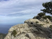 IMG 5147  limestone and pines