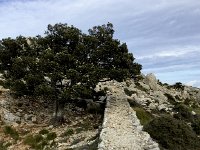 IMG 5149  quite some engineering