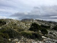 IMG 5150  plateau landscape