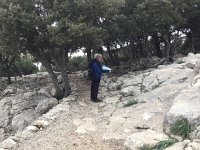 IMG 5155  not much soil