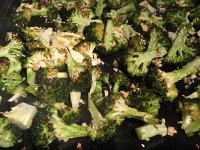 IMG 5164  roasted broccoli