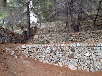 IMG 0285  Amazing terraces all along the coaost