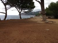 IMG 0289  picnic spot