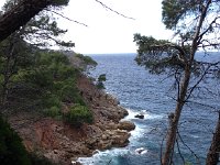 IMG 0299  the trail went up and down a lot