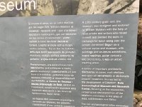 IMG 5170  background