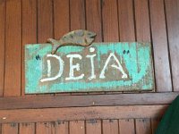 IMG 5174  one that we drove through yesterday