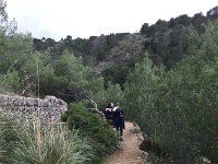 IMG 5177  coastal trail climbed up to terraces