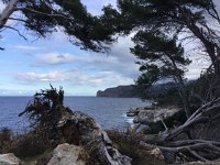 IMG 5178  Here I continued along the coast while the others went back to the car and Soller