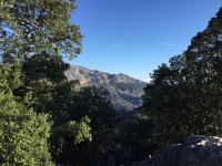 IMG 5193  enjoy the oak woodlands