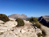 IMG 0317  sere landscape