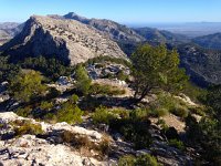 IMG 0318  windy ridge