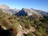 IMG 0320  brushy too