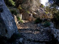 IMG 0321  the path down the gorge