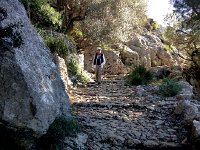 IMG 0322  nicely cobbled