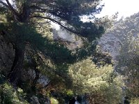 IMG 0323  even shaded