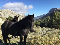 IMG 5220  checking us out