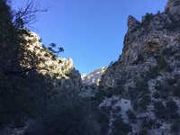 IMG 5235  deeper into the gorge