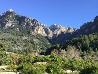 IMG 5237  then out onto the flatter lands with citrus orchards