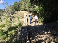 IMG 5263  nice path but lots of wind whistling over the ridge
