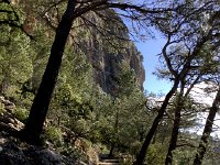 IMG 5265  a lovely path beneath then up through the cliffs