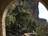 IMG 5270  Rich coming up