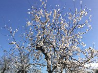 IMG 5280  in the flat lands