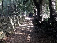 IMG 0349  the path onward