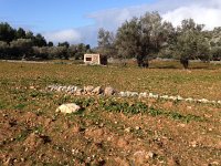 IMG 0359  out into some fields