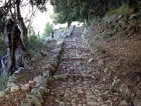 IMG 0364  lovely cobbled path