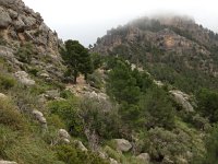 IMG 0373  I turned around then stopped for lunch near the col