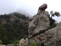 IMG 0374  strange place