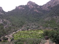 IMG 0380  with an active agro aspect