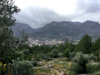IMG 5293  as a group we all started uphill toward Santa Maria de l&#39;Olivar