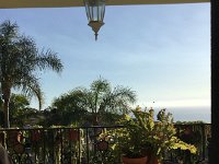 IMG 4861  composition better in this one?