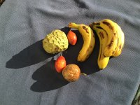 IMG 4862  Nikki and Deirdre found local tropical fruits