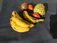 IMG 4863  still life