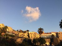 IMG 4866  evening light in Camara des Lobos