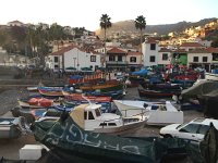 IMG 4867  Port of Camara de Lobos