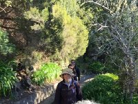 IMG 4905  single file on the levada