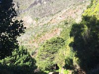 IMG 4906  perfect conditions