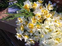 IMG 4933  bouquet in Funchal market