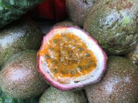 IMG 4939  Fruit (sorry, I forgot what these were called!)