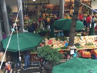 IMG 4952  visit to Funchal market