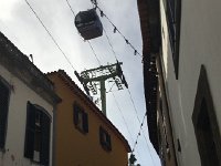 IMG 4955  Streets of Funchal