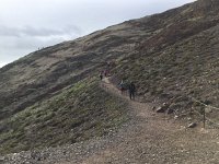 IMG 4992  trail was busy