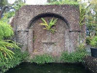 IMG 5009  flowers in Funchal city center (museum gardens)