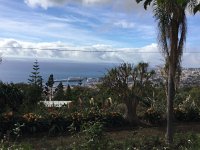 IMG 5024  view from Botanical Gardens